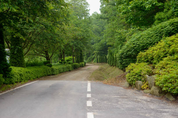 istock the boundary between paved and unpaved roads in the woods. 2198861184