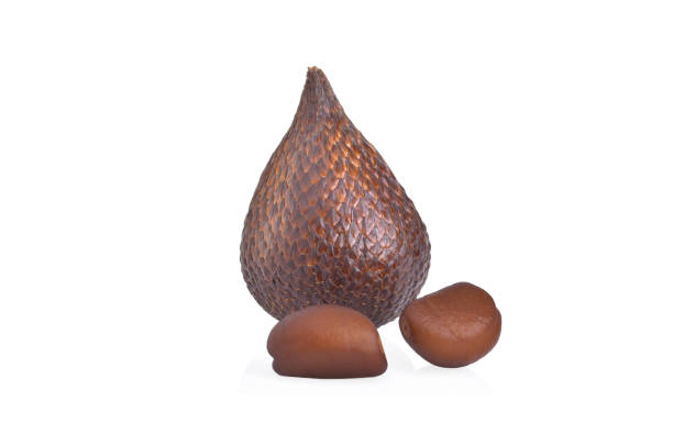 Salak or snake fruit on white background