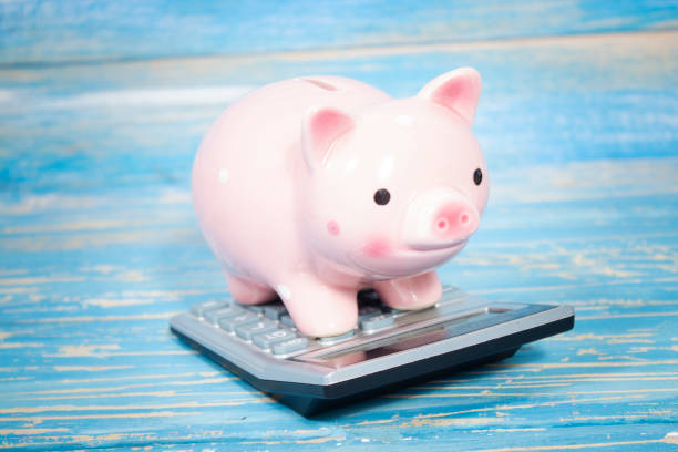 istock piggy bank on a calculator 2198863131