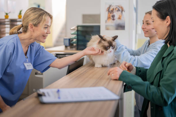 Cheerful Female Veterinarian Receptionist with Fluffy Cat
