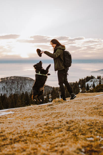 istock Cute Black Small Dog And Its Owner Playing In Nature 2198870302