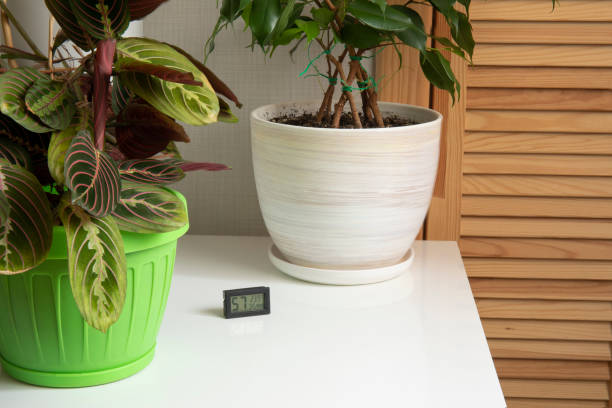 istock Indoor plant pots and hydrometer on white table close up . 2198870852