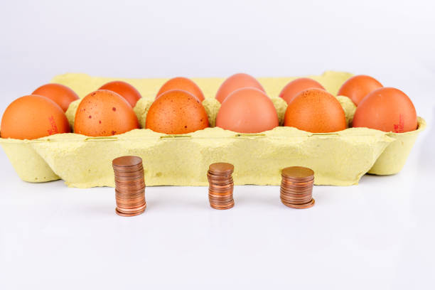A dozen brown eggs and rows of copper coins on a white background, representing the rising cost of eggs in the USA due to inflation