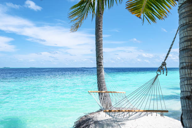 istock Hammock hanging between two palm trees on the tropical paradise beach 2198873304