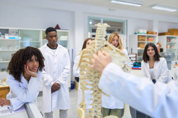 Medical students learning anatomy with human skeleton model