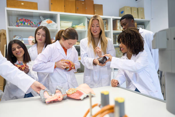 istock High school students studying human anatomy in science lab 2198874981