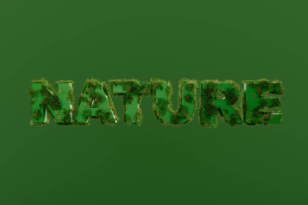istock Nature is a green word with a green background 2198883952