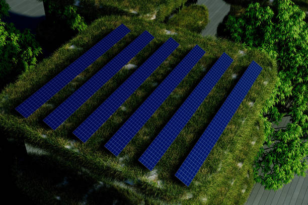 istock A green roof with solar panels on it 2198884011