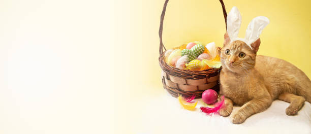 istock Banner of British ginger, wearing Easter bunny ears, celebrating Easter holiday. 2198885487