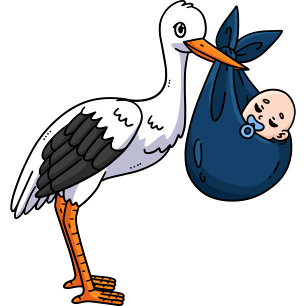 istock Baby Shower Stork Carrying a Baby Cartoon Clipart 2198888157