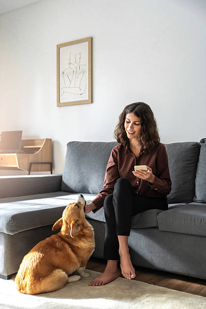 istock Young freelance woman sitting on couch sofa using mobile phone application, chatting online. Relaxing girl at real estate apartment home chill out holding gadget at sunny day petting pet dog. Vertical 2198894269