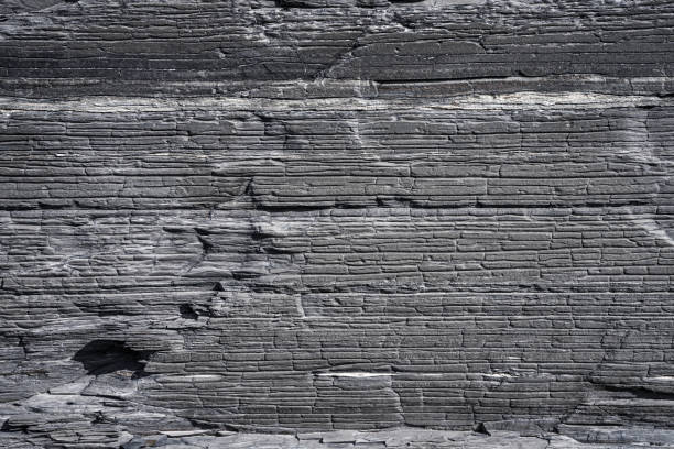 Detailed view of a natural stratified rock surface, showcasing sedimentary layers and unique gray patterns