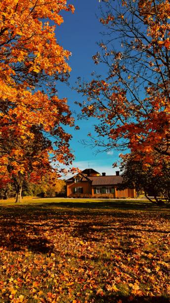 istock Autumn leaves and cottage 2198906770