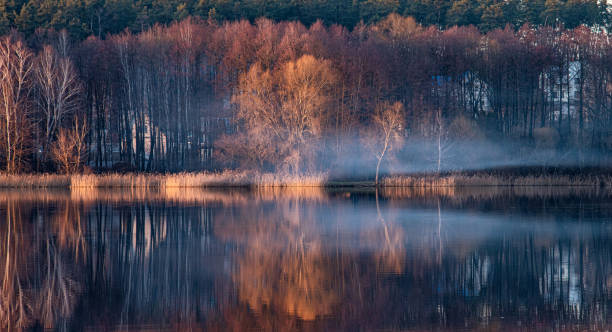 istock trees and houses illuminated by the setting sun, reflected in the lake. 2198909326