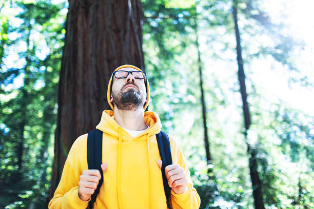 man enjoying hiking in gorgeous redwood national park