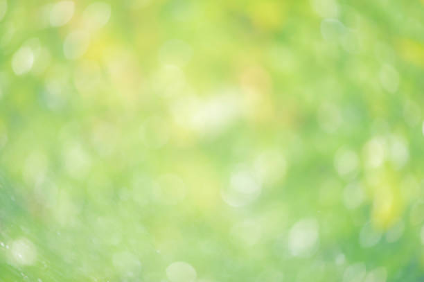 istock Defocused lights background natural green, yellow and white. 2198909682