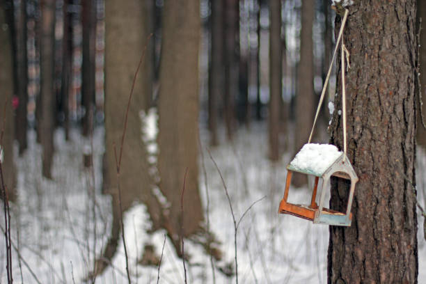 An image of a snow-covered suspended peanut-filled bird feeder. It is hanging from a rotary washing line in the sunshine.