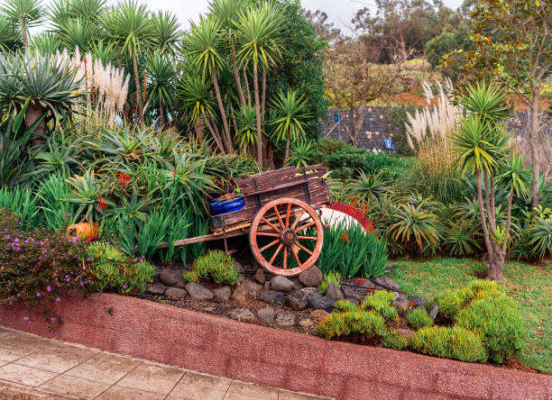 Tropical green garden on Madeira Island
