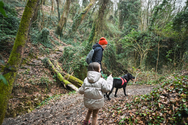 istock Family walking in deep forest. 2198915000