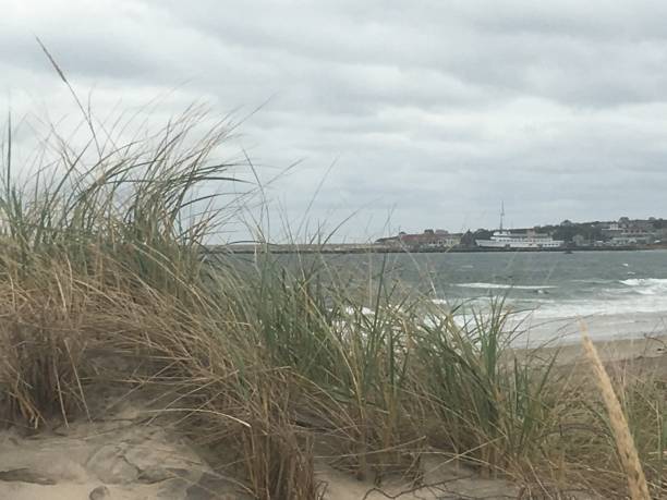 istock Block Island Beach and Forest Scenes 2198924884
