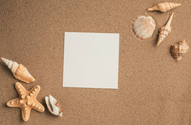 istock Summer. Summer background. Summer accessories, Summer concept . Starfish with sand as background. Sand texture 2198925291