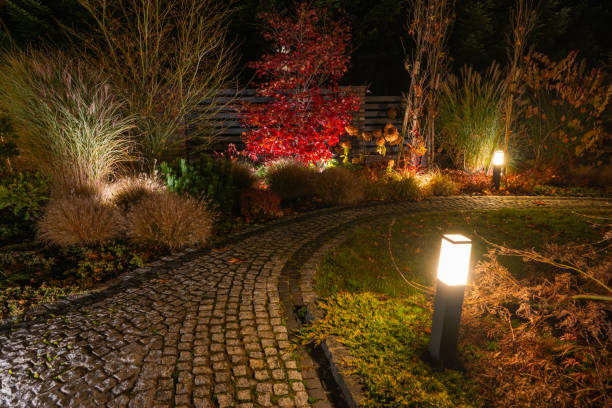 istock Beautiful Garden Path Illuminated at Night With Colorful Foliage 2198928360