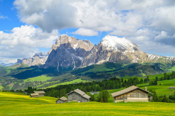 istock Seiser Alm or Alpe di Siusi panorama in the Dolomites during springtime 2198928847