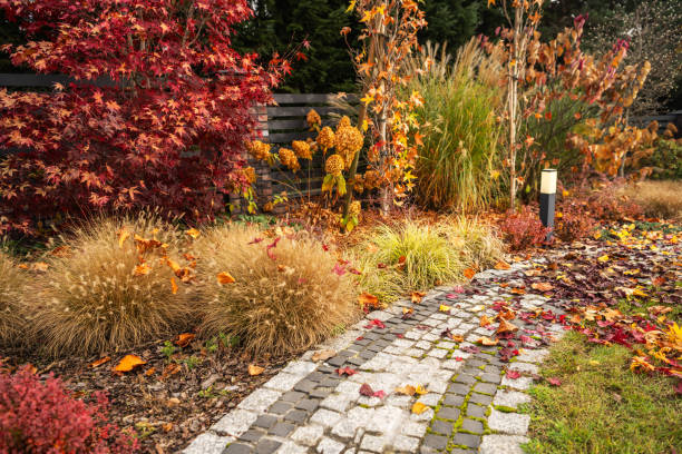istock Colorful Autumn Garden Path Surrounded by Vibrant Foliage 2198930132