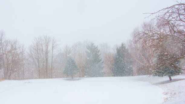 istock Frozen Lake in a snow storm-Howard County, Indiana 2198930754
