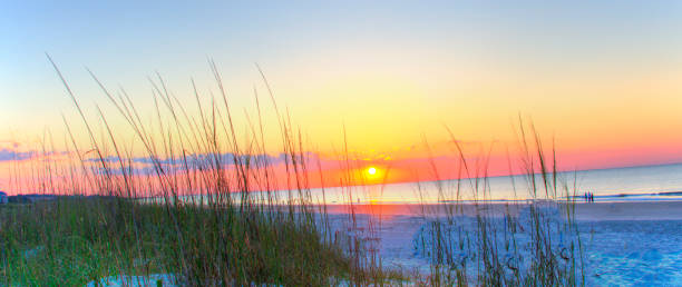 istock Beach Sunrise-Hilton Head, South Carolina 2198930771