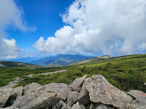 istock mountain tops, blue sky,Coniferous forest 2198931369