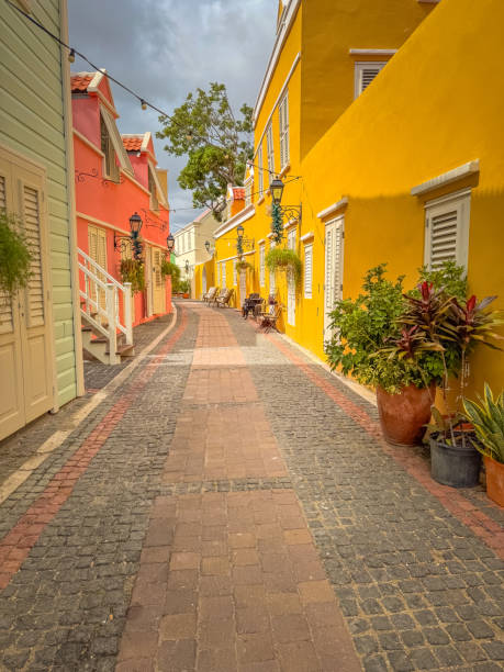 Colorful brick alley in the tropics with flowers