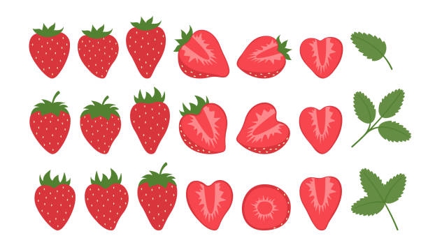 стокові ілюстрації на тему полуниця великий набір. колекція summer berries flat design. корисні солодощі. - полуниця