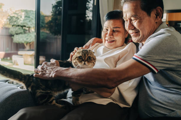 istock Senior Couple Smiling While Bonding with Their Pet Cat Indoors 2198934640