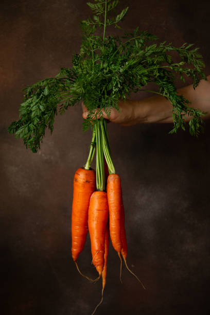 istock Hands holding a bunch of fresh orange carrots on black background 2198938314