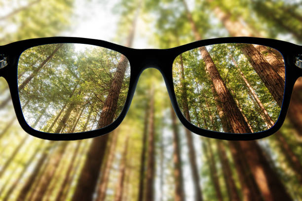 istock Eyeglasses focusing on a redwood forest 2198945318