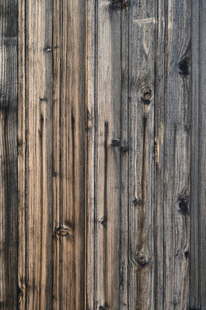 Rustic wooden wall showcasing a blend of dark and light textures in a natural setting