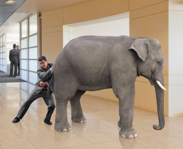 istock Businessman pushes elephant out of office 2198954284