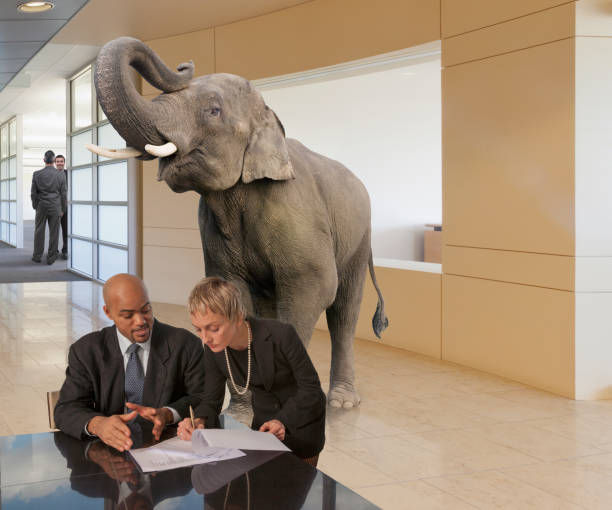 istock Elephant in office with business partners 2198954536