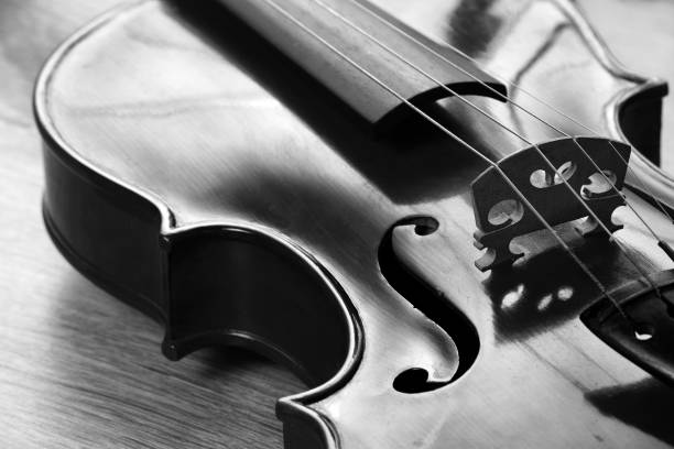 istock a fragment of a violin close-up. black and white 2198955668