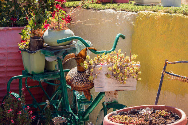 An old bicycle, decorated with flowers, was photographed in the garden of a home