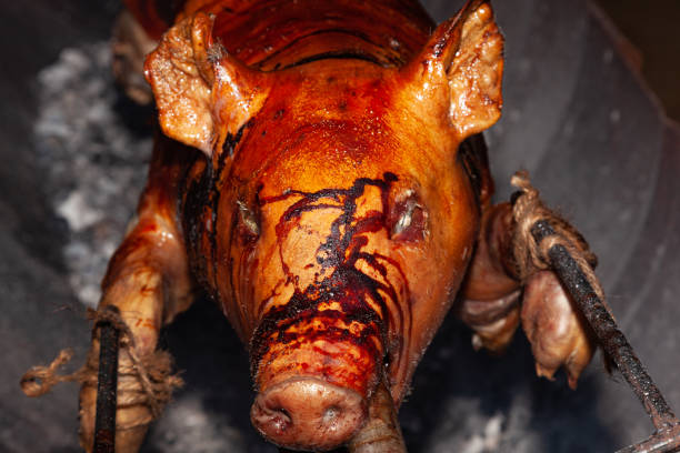A young pig is roasted on a spit over coals.