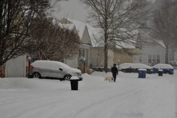 istock Woman Walking Her Dog in the Snow 2198961829