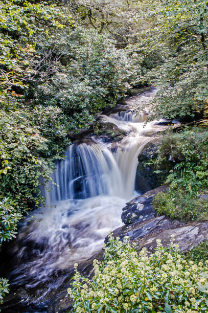 istock Upper Torc Waterfall, Killarney National Park, Kerry, Ireland 2198966008
