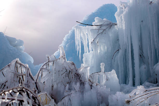 a large piece of ice and a frozen tree