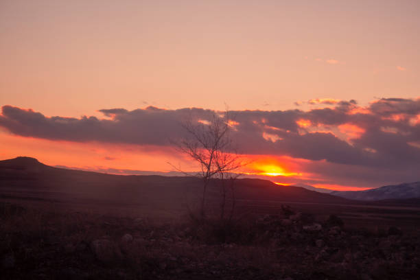 field and colorful clouds at sunset