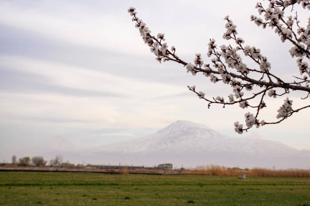 Historical photo from 1990 of a village in eastern Turkey with the snow-capped Mount Ararat in the background, Turkey.