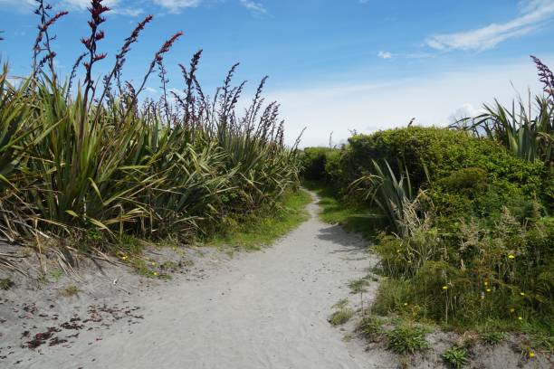 istock Scenic sandy path in Hokitika, New Zealand 2198968615
