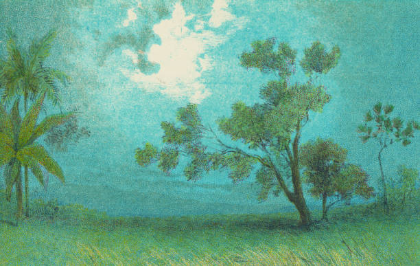 A beautiful landscape in rural Tanzania, Africa. Vintage etching circa 19th century.