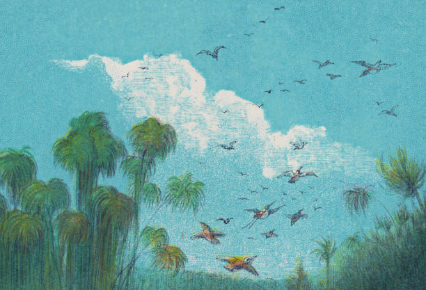 A flock of bird flying against a blue sky, above a bunch of palm trees. Vintage etching circa 19th century.